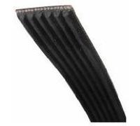 Proline Cinghia di trasmissione per asciugatrice - 1965h6. Codice ricambio originale 481235818186