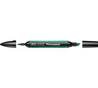 PROMARKER PENNARELLI DOPPIA PUNTA WINSOR&NEWTON LETRASET (G657 - EMERALD)