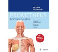 PROMETHEUS LernPoster der Anatomie, Knochen und Muskeln