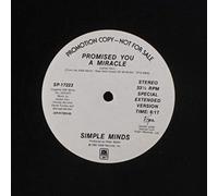 promised you a miracle 12