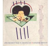 Promised You A Miracle / Book Of Brilliant Things