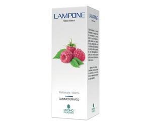PromoPharma Lampone Gemmoderivato Gocce 50 ml Gocce