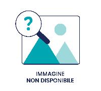 PromoPharma Mirtillo Nero - Integratore alimentare per il microcircolo, mirtillo nero capsule 50