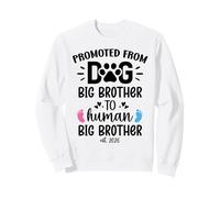 Promoted from Dog Big Brother Human Brother EST 2026 Big Bro Felpa