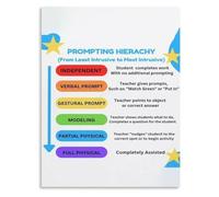 Prompting Hierarchy Poster Prompt Levels Education Chart