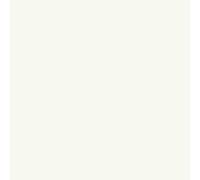 PROMX MAXI COLOR VERNICE SPRAY RAL 9010 BIANCO OPACO