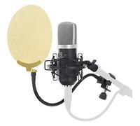 Pronomic CM-22 microfono a diaframma largo con antipop oro