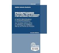 Prontuario delle armi, delle munizioni e dei materiali esplodenti. 2024