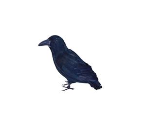 Prop Di Halloween In Piume Nere Raven Blackbird Crow