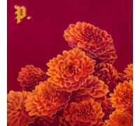 Proper I Spent the Winter Writing Songs About Getting Better (CD) Album