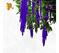 Proper. - The Great American Novel