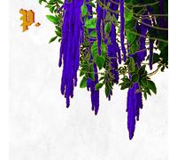 Proper. The Great American Novel (CD)