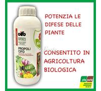 PROPOLI CIFO 1LT POTENZIA DIFESE DELLE PIANTE ORTO-FRUTTI-AROMATICHE-ORNAMENTALI