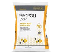 Propoli Evsp Car Propoli Menta Eucalipto
