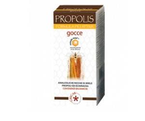 PROPOLIS AD ESTR ANALCO 50ML