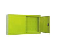 PROREGAL Armadio portautensili sospeso AMEGO | AxLxP 55x120x27,5cm | metallo | Chiusura con serratura | Verde | Armadio da officina