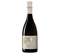 Prosecco DOC Extra Dry Terre di Rai 0,75 ℓ