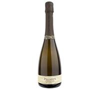 Prosecco DOC Millesimato Extra Dry Paladin 2017 0,75 L