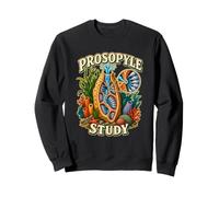 PROSOPYLE Study Spugna Marina Zoologia Anatomia Felpa