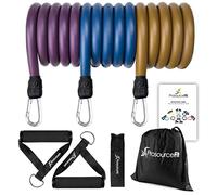 ProsourceFit Resistance Bands Set Exercise Guide Full-Body Exercises and Home Workouts