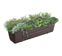 Prosper Plast drl500pw-440u 49.2 x 17.2 x 17.4 cm "Ratolla PW Flowerpot - marrone scuro (pezzi)