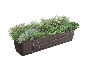 Prosper Plast drl500pw-440u 49.2 x 17.2 x 17.4 cm "Ratolla PW Flowerpot - marrone scuro (pezzi)