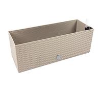 Prosperplast DRTC800-7529U - Vaso da Fiori in Vetro per Piante, 80 x 33 x 32 cm, Colore: Mocca (6 Pezzi)