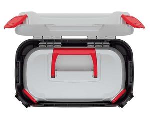 PROSPERPLAST Scatola portaoggetti smart 23l, dimensioni (mm) 38 x 23,4 x 22,5 cm, colore grigio marca