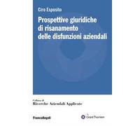 Prospettive giuridiche di risanamento delle disfunzioni aziendali