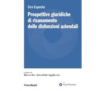 Prospettive giuridiche di risanamento delle disfunzioni aziendali