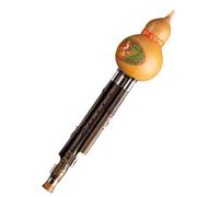 Protable Hulusi Professionale C Chiave Cinese Cucurbita Flauto Per Principianti Zucca Flauto Per Gli Amanti Della Musica Zucca Strumento