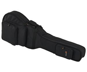 Protec Hollow Body E-Guitar CF229