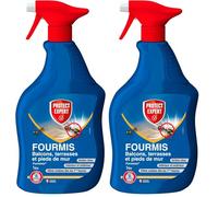 PROTECT EXPERT DTMAL1 - Spray anti-formiche - Balconi - Terrazze - Piedi di Pareti - 1 L - Azione shock e lunga durata - Effetti visibili fin dalla prima ora - Pronto all'uso (Confezione da 2)