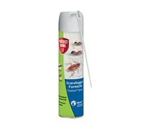 Protect Home Fastion Spray, Insetticida a rapida azione per eliminare formiche e scarafaggi. Con cannuccia per applicazione di precisione 400 ml