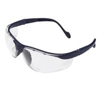 protectionworld Occhiali protettivi Eagle Eye + 2,5 2012010