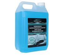 Protecton 1890917 Liquido lavavetri invernale