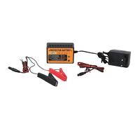 Protector Battery Carica e Protegge la Batteria dei Veicoli Non Utilizzati