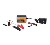 Protector Battery, Carica e Protegge la Batteria dei Veicoli Non Utilizzati