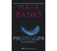 Proteggimi. Slow burn series (Vol. 1)