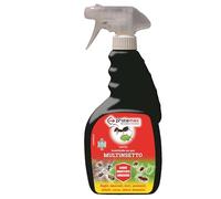 PROTEMAX Spray ABBATTENTE Contro FORMICHE E Insetti STRISCIANTI No-Gas 500ml