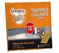 PROTEMAX TOPICIDA Trappola COLLANTE CF.2Pz Piccola