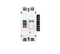 Protettore di dispersione, interruttore dell'aria, DC12V 24V 48V MCCB Moulded Case Circuit Breaker Battery With 100A 250A 300A 400A 600A Charging Pile Protector(500a,2P)
