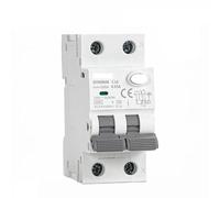 Protettore di dispersione, interruttore dell'aria, Type A RCBO 2P 4P Magnetic Residual Current Circuit Breaker with Over Current Protection 10A 16A 25A 32A 40A 30mA(2P 16A 30mA)