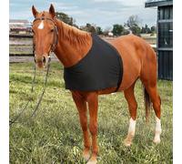 Protettore di montaggio portatile riutilizzabile per la protezione della