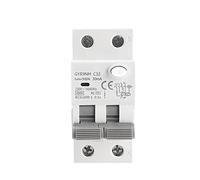 Protettori di cortocircuito GYR9NM 2P 1P + N 40A 6KA Tipo AC elettromagnetico Interruttore differenziale con protezione da sovracorrente da dispersione 1 pezzo (Color : 2p 25a, Size : 10mA)
