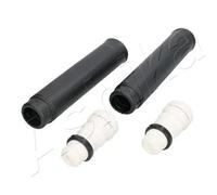 Protezione ammortizzatore Assale posteriore 159-00-0315 ASHIKA per FORD