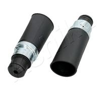 Protezione ammortizzatore Assale posteriore 159-00-0622 ASHIKA per PEUGEOT 406