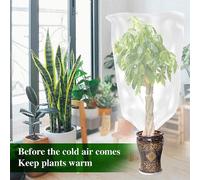 Protezione antigelo semplice ed efficace con soluzioni trasparenti per la copert