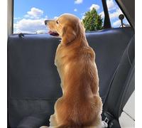 Protezione Auto Cani per Xpeng G9 Seit 2025
