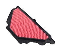 protezione del motore Filtro aria per moto, elemento di pulizia, accessorio di ricambio, adatto per KAWASAKI NINJA ZX-6R ZX6R ZX600P ZX636 Schiuma media